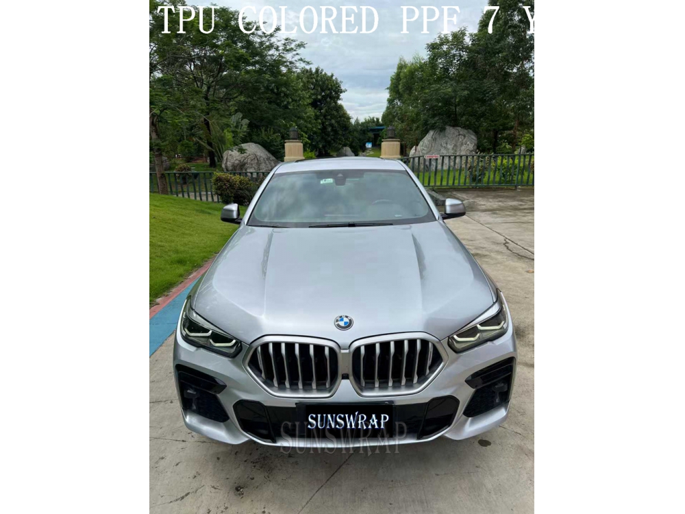 Stardust Silver PPF