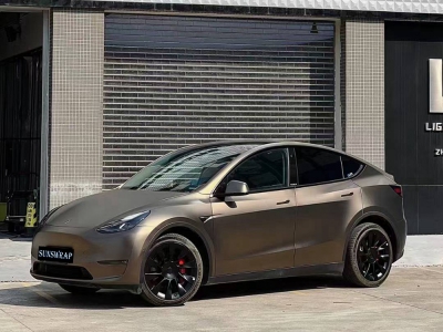 HD Super Matte Metallic Coffee Brown