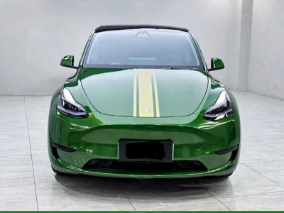 Metallic Sonoma Green PPF