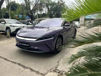 Orchid Purple PPF