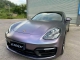 Capri Gray Purple PPF