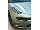 Ultra Matte Grey Green PPF