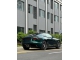 Metallic British Green PPF