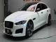 Diamond White Iridescent Blue PPF