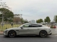 Elegant Gray PPF