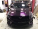 Metallic Black Iridescent Purple PPF