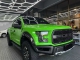 Crystal Lizard Green PPF