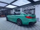 Vintage Green PPF
