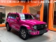 Crystal Fuchsia Red PPF